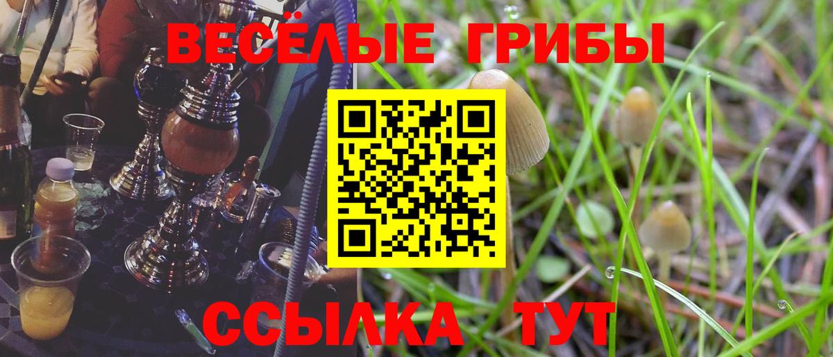 Новочеркасск  Псилоцибиновые грибы мухоморы  Вход с VPN 